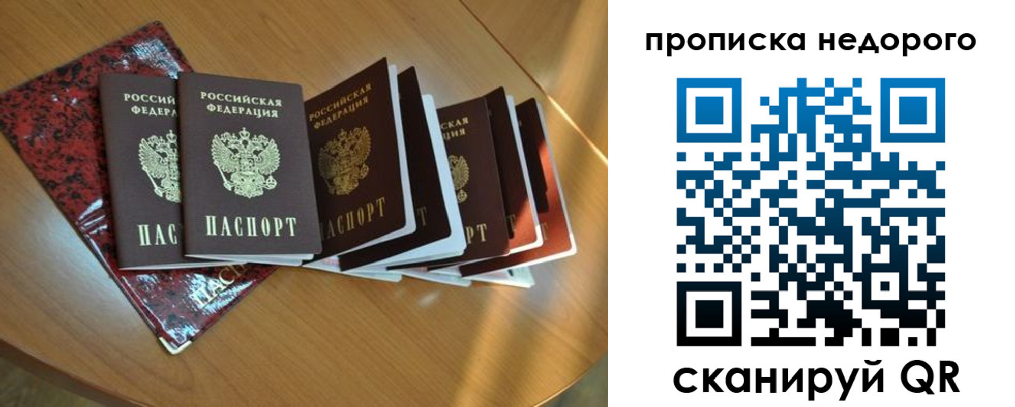 прописка штамп в Волгоградской области